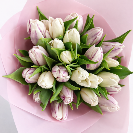 • 20 ivory tulips bouquet Miami delivery
• Luxury tulips Sunny Isles Beach florist
• International Women’s Day flowers Aventura Miami
• Elegant tulips BLÜM Miami

