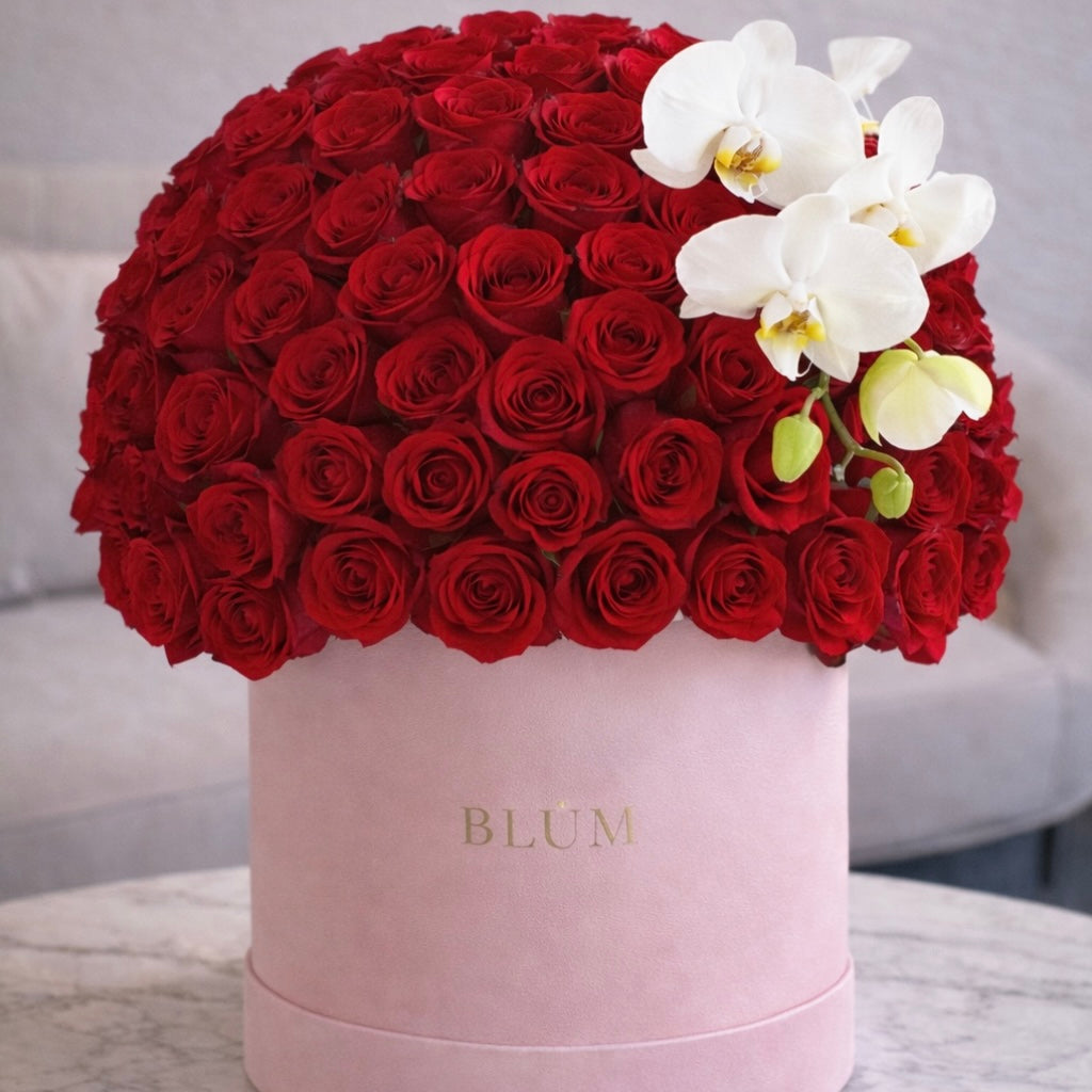 Red Roses Dome with Orchid – Luxury Valentine Box Miami