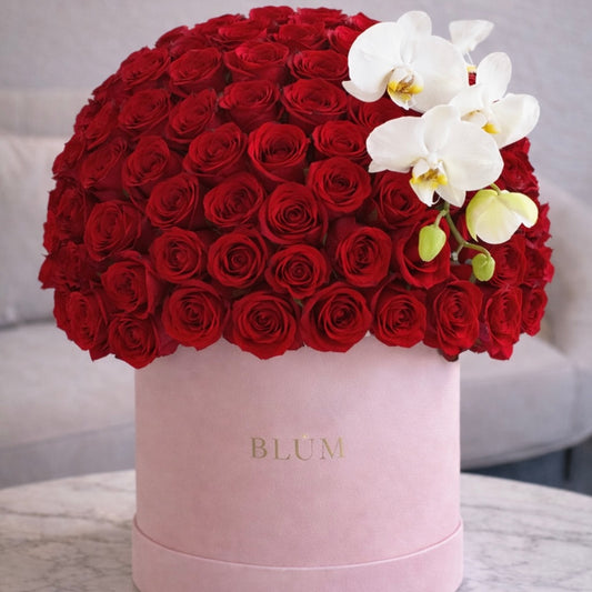 Red Roses Dome with Orchid – Luxury Valentine Box Miami