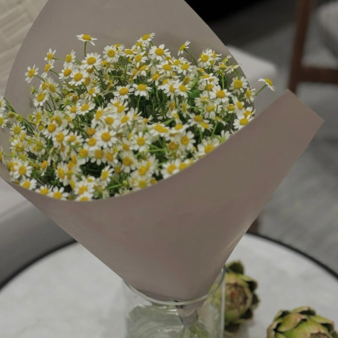 Chamomile Bouquet