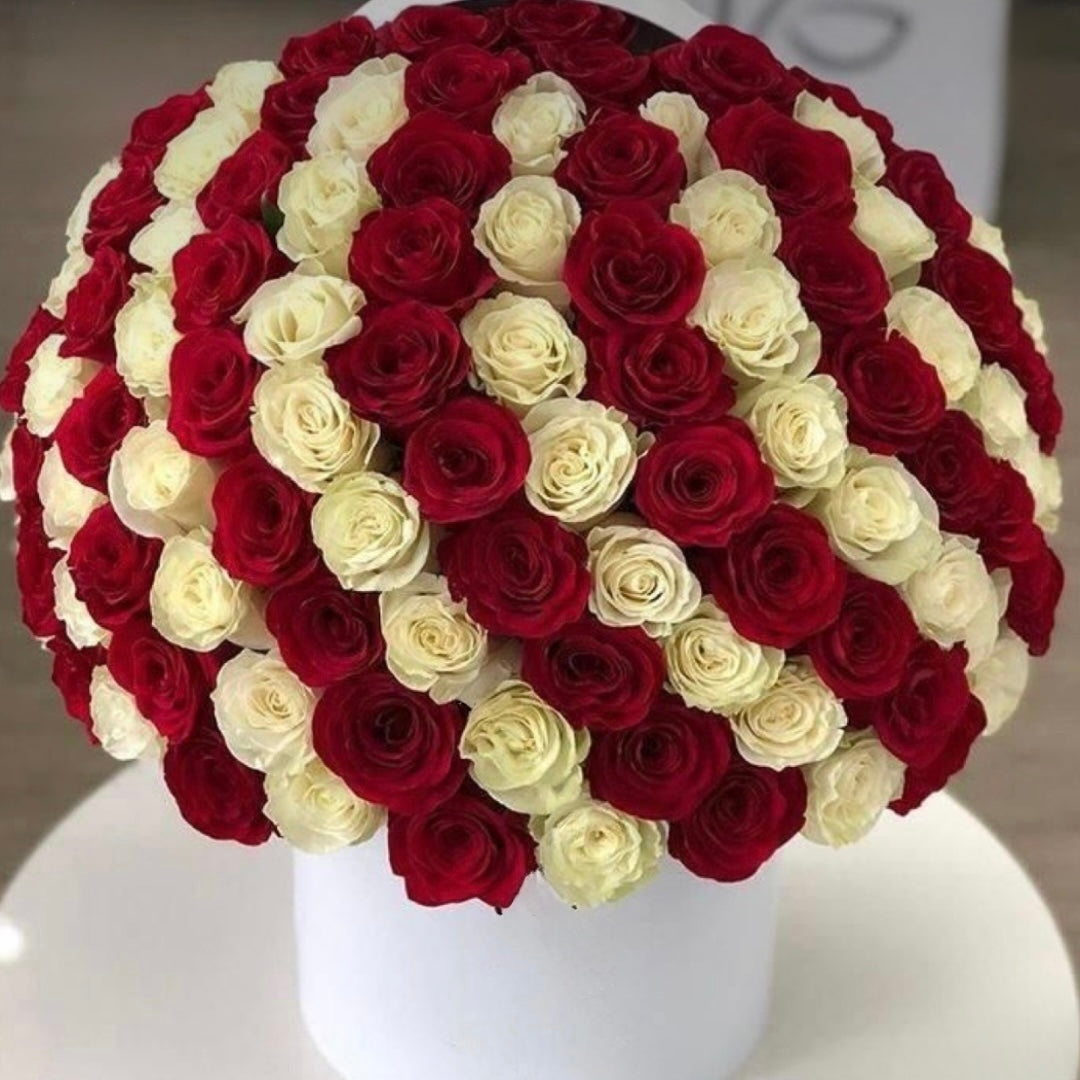 Grand Box of Red & White Roses