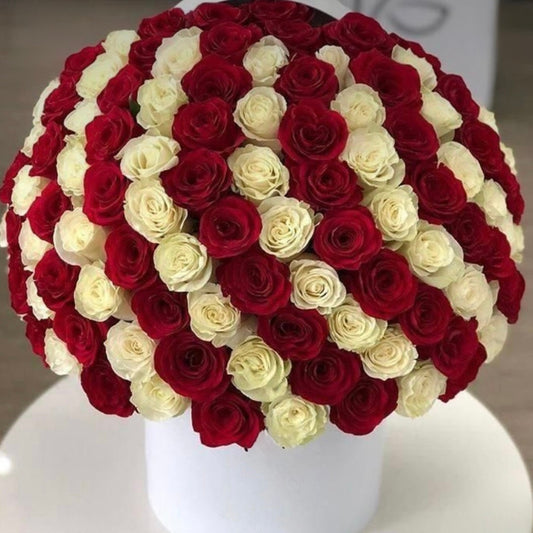 Grand Box of Red & White Roses