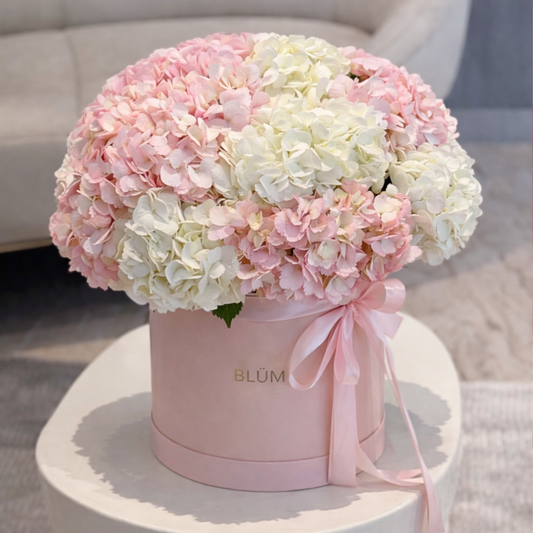 Blush Cloud – Luxury Flower Box with Pink & White Hydrangeas