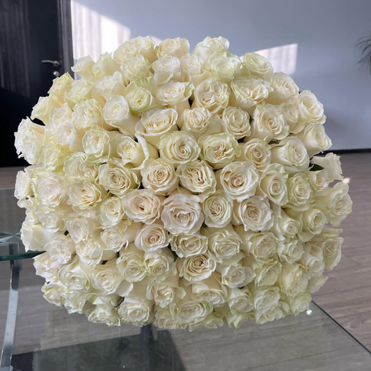 100 White Roses – Grand Luxurious Bouquet