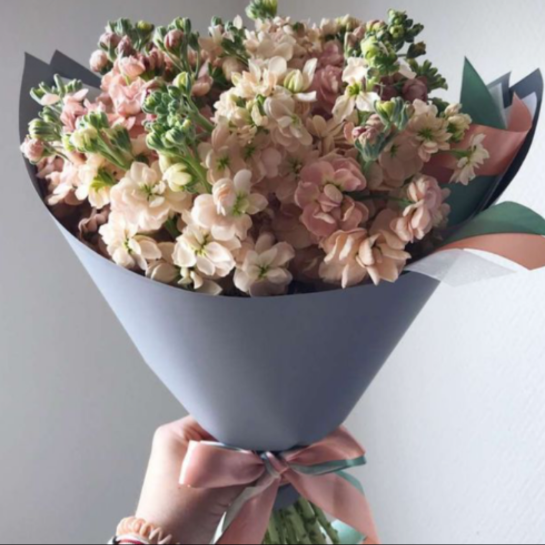 Pastel Matthiola Bouquet