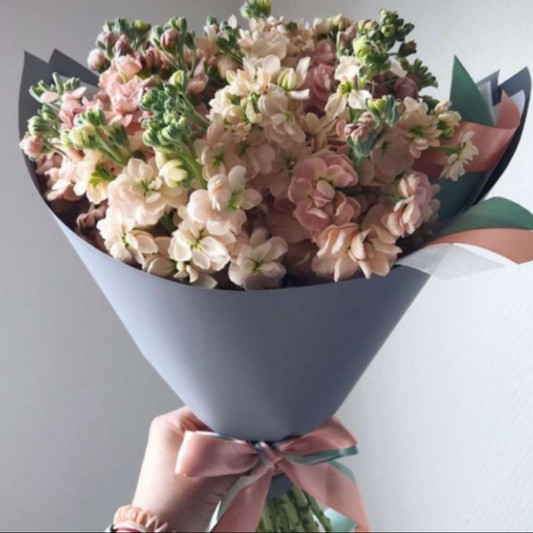 Pastel Matthiola Bouquet