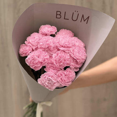 Pink Carnations