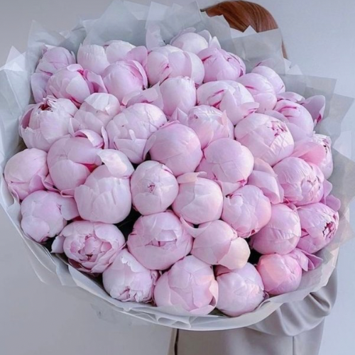 Peonies bouquet