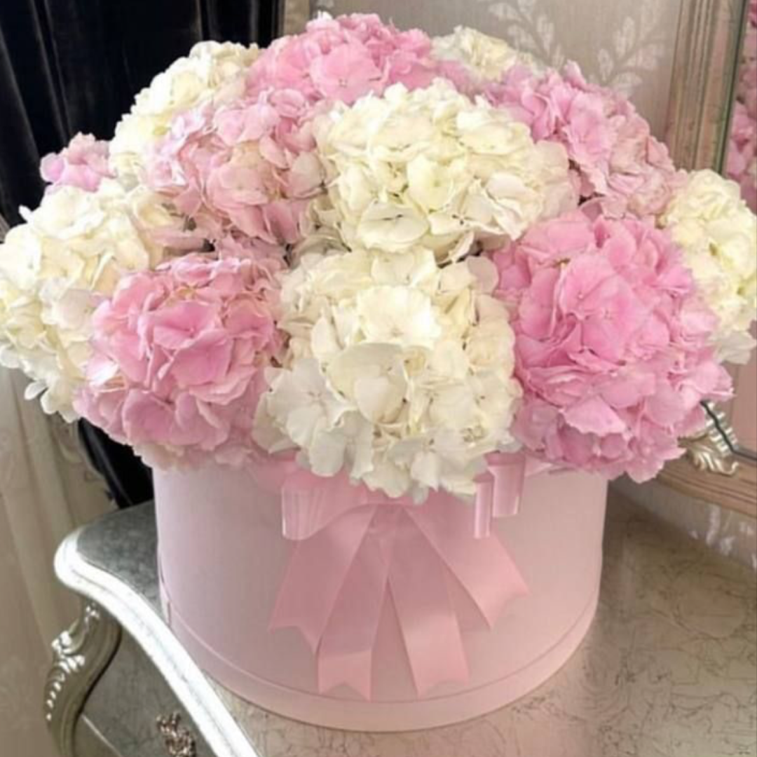 Blush Cloud – Luxury Flower Box with Pink & White Hydrangeas