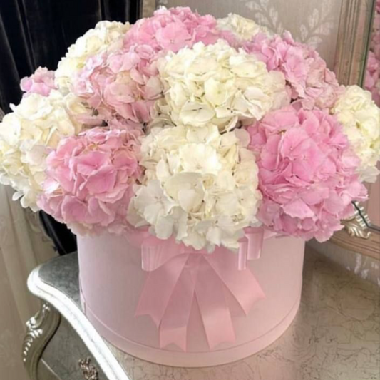 Blush Cloud – Luxury Flower Box with Pink & White Hydrangeas