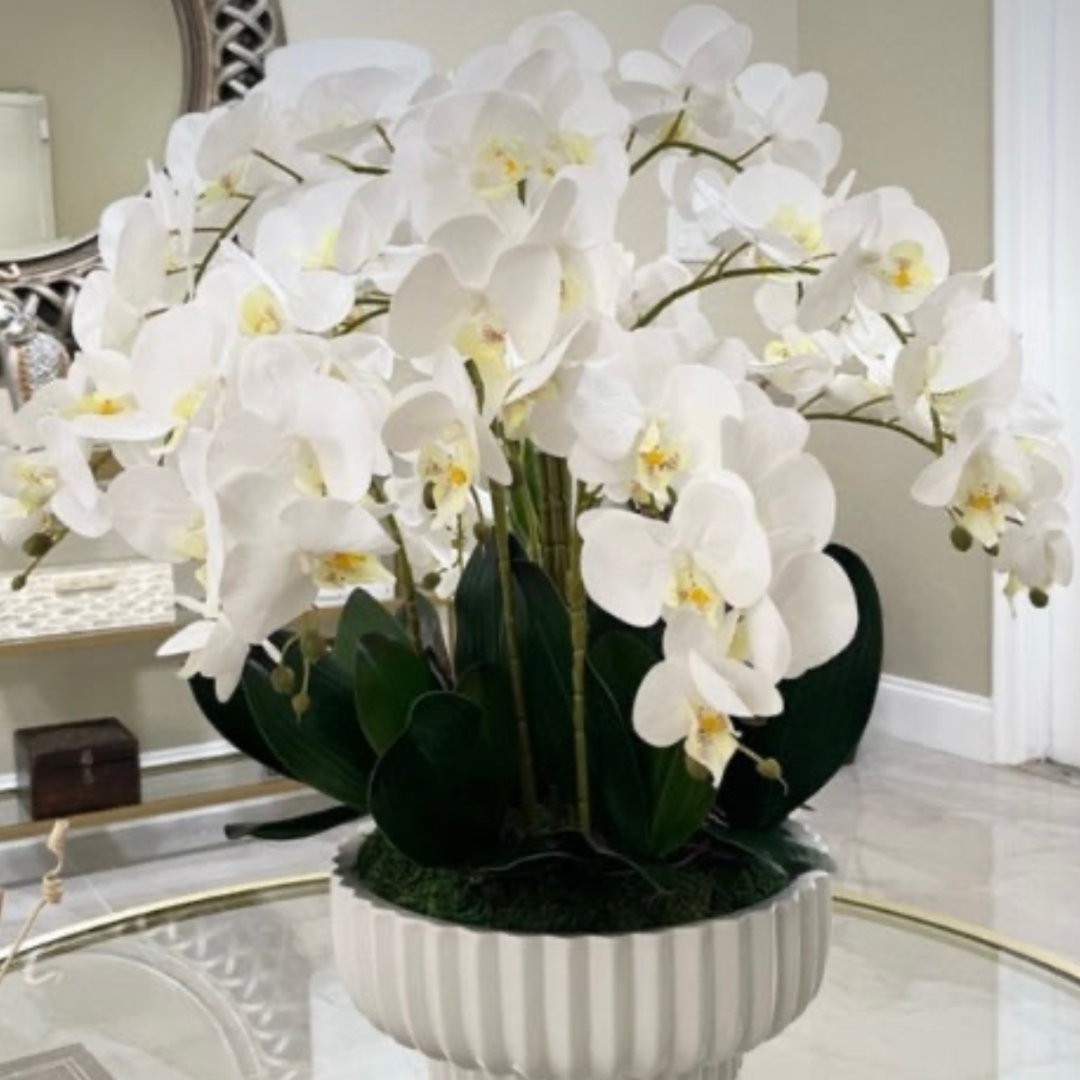 Grand White Orchid Luxury Arrangement in Fluted Ceramic Bowl