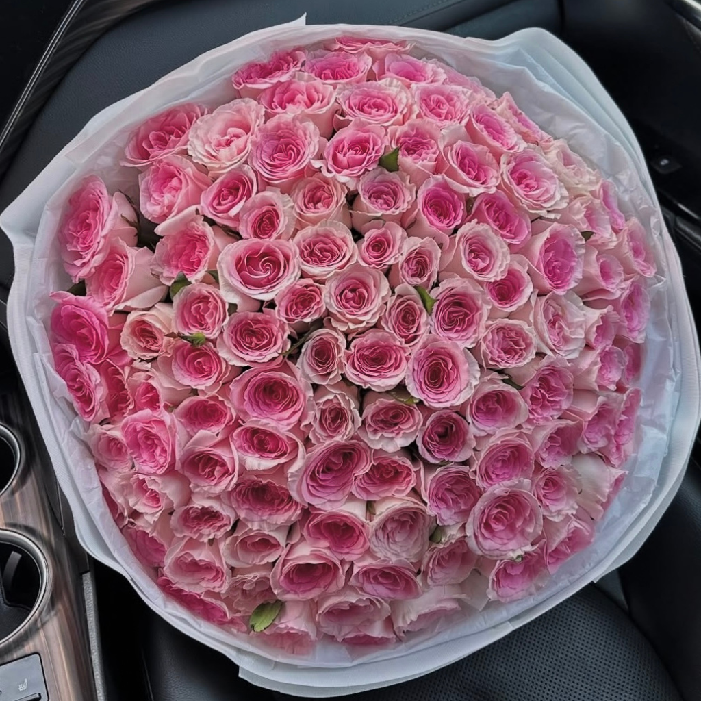 100 Pink Garden Roses